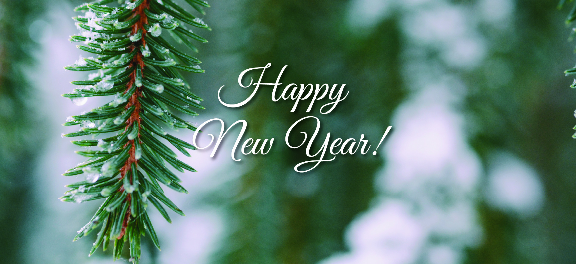 You can enter slide name here