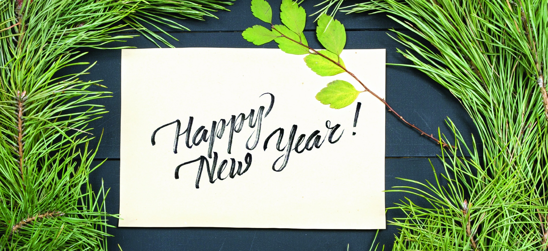 Molalla Adult Community Center